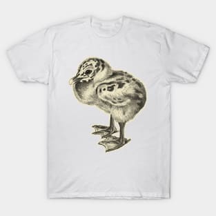 bird baby T-Shirt